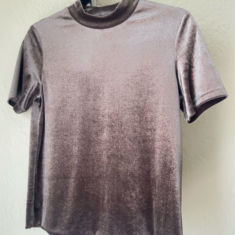Zara velour top.